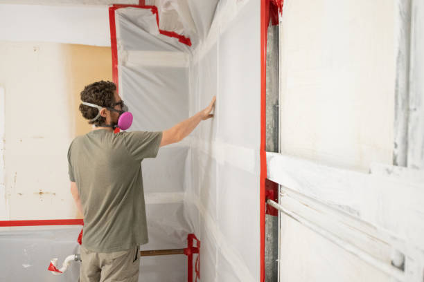 Best Commercial Mold Inspection  in Ammon, ID