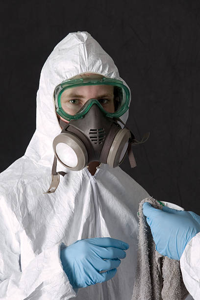 Best Black Mold Removal  in Ammon, ID